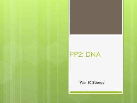 PP2: DNA Year 10 Science Pembroke Secondary College ©2009.