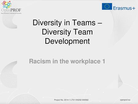 Diversity in Teams – Diversity Team Development