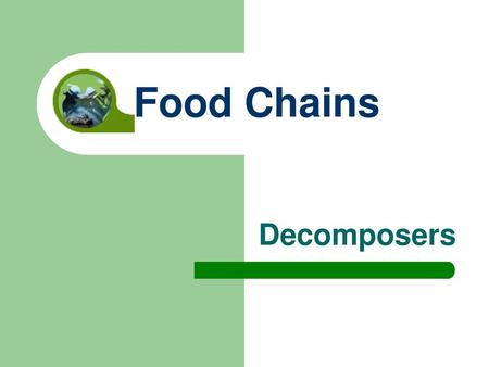 Food Chains Decomposers.