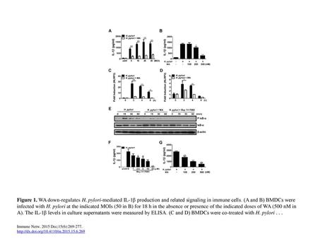 Figure 1. WA down-regulates H