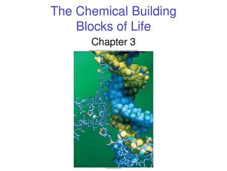 The Chemical Building Blocks of Life