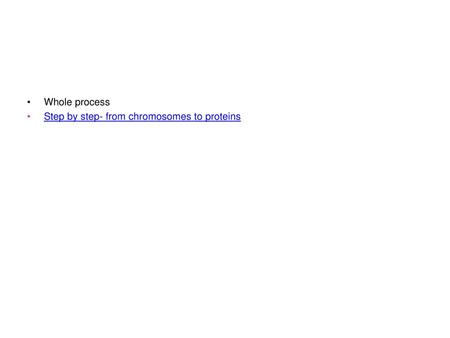 Whole process Step by step- from chromosomes to proteins.