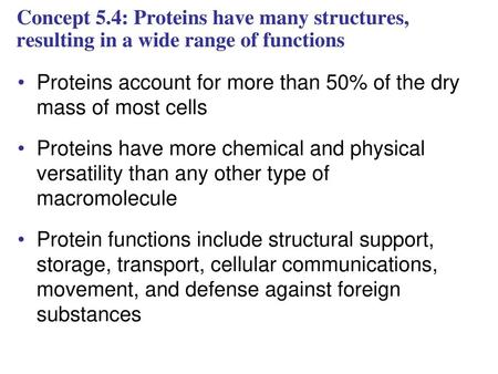 Proteins account for more than 50% of the dry mass of most cells