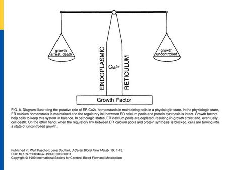 FIG. 8. Diagram illustrating the putative role of ER Ca2+ homeostasis in maintaining cells in a physiologic state. In the physiologic state, ER calcium.