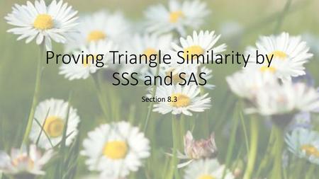 Proving Triangle Similarity by SSS and SAS