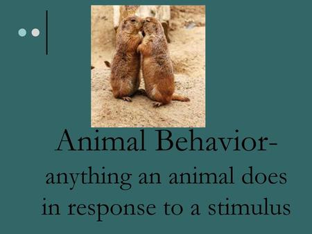 Animal Behavior- anything an animal does in response to a stimulus