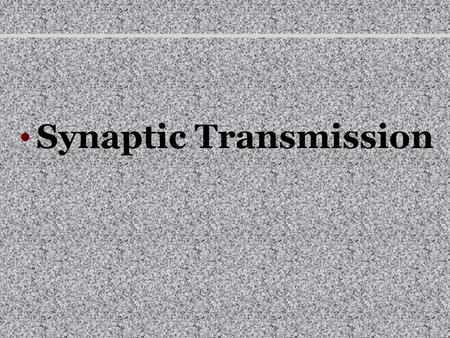 Synaptic Transmission