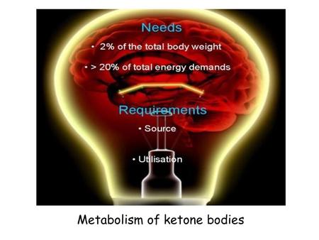 Metabolism of ketonе bodies