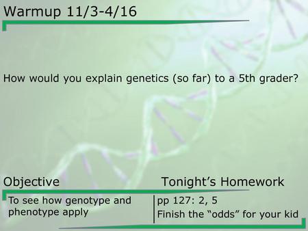 Warmup 11/3-4/16 Objective Tonight’s Homework