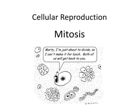 Cellular Reproduction