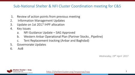 Sub-National Shelter & NFI Cluster Coordination meeting for C&S