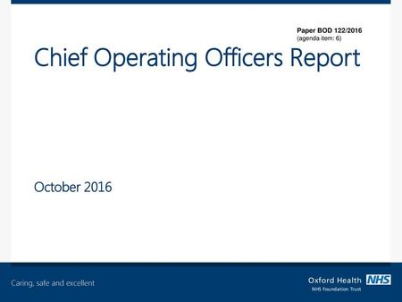 Chief Operating Officers Report