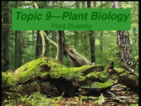 Topic 9—Plant Biology Plant Diversity.