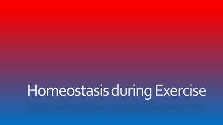 Homeostasis during Exercise