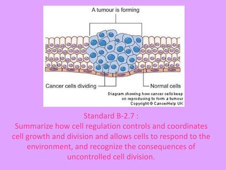 Standard B-2.7 : Summarize how cell regulation controls and coordinates cell growth and division and allows cells to respond to the environment, and recognize.