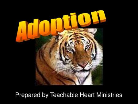 Prepared by Teachable Heart Ministries