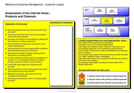 Assessment of the Internal Areas - Products and Channels