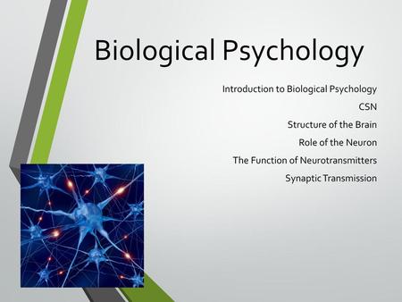 Biological Psychology