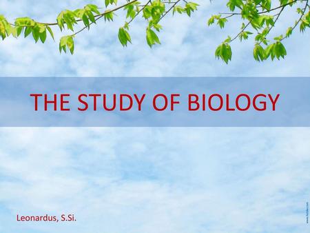 THE STUDY OF BIOLOGY Leonardus, S.Si..