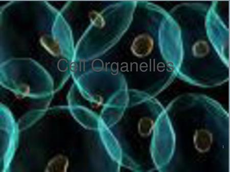 Cell Organelles.