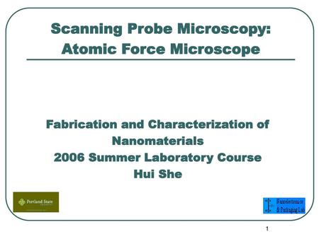 Scanning Probe Microscopy: Atomic Force Microscope