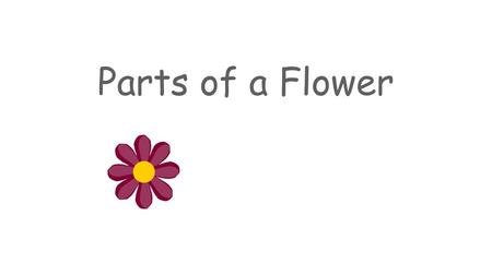 Parts of a Flower.