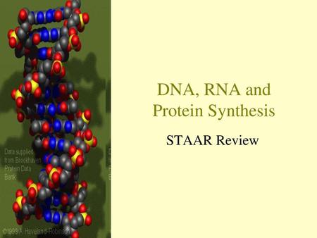 DNA, RNA and Protein Synthesis