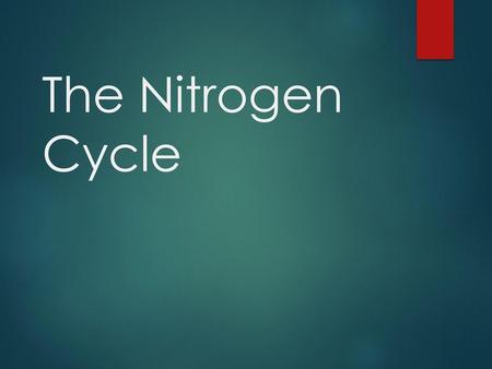 The Nitrogen Cycle.