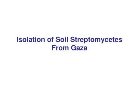 Isolation of Soil Streptomycetes From Gaza