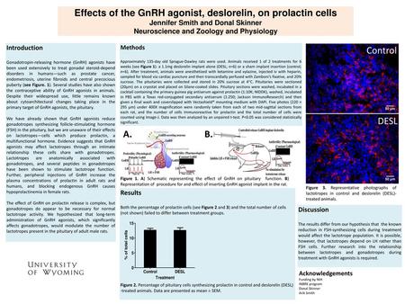 Effects of the GnRH agonist, deslorelin, on prolactin cells