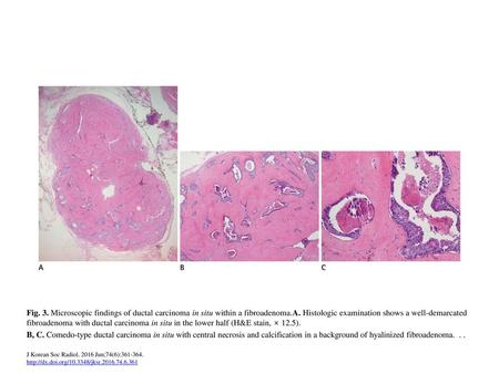 H&E = hematoxylin and eosin