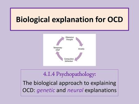 Biological explanation for OCD