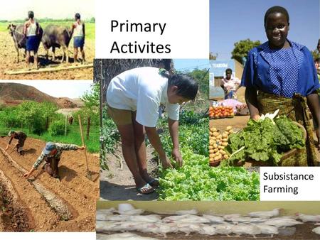 Primary Activites Subsistance Farming.