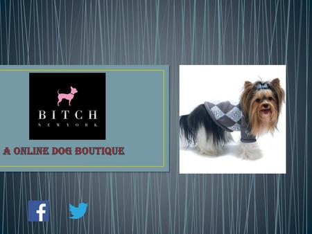 A Online Dog Boutique.