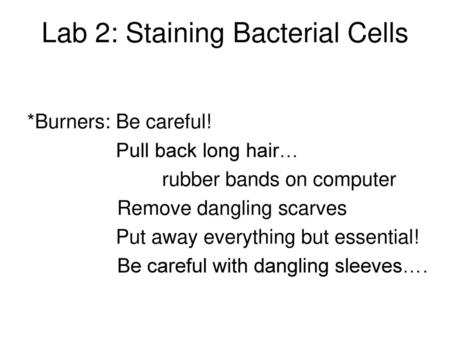 Lab 2: Staining Bacterial Cells