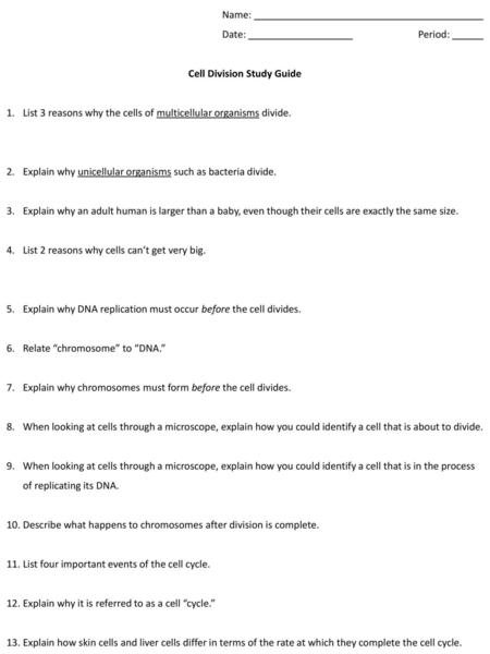 Cell Division Study Guide