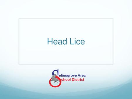 Head Lice.