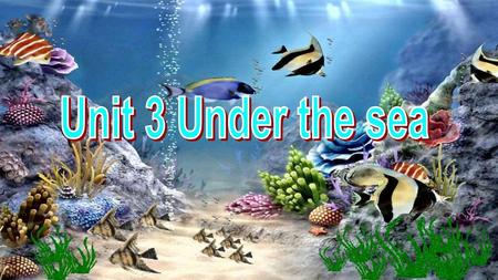 Unit 3 Under the sea.