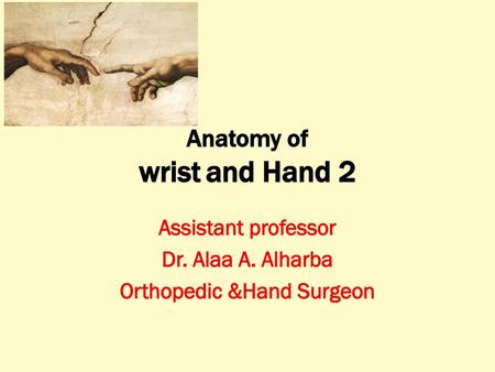 Anatomy of wrist and Hand 2