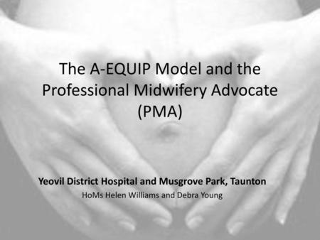 The A-EQUIP Model and the Professional Midwifery Advocate (PMA)