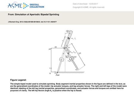 From: Simulation of Aperiodic Bipedal Sprinting