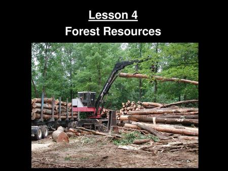 Lesson 4 Forest Resources.