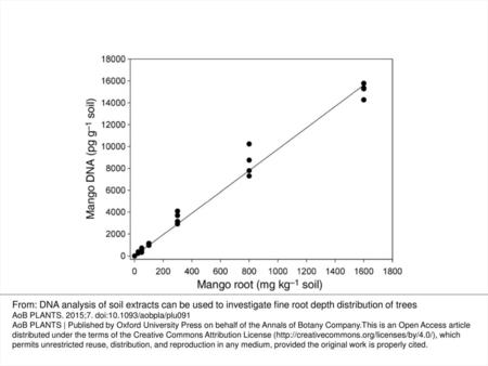 Figure 1. Root dry matter concentrations (0, 25, 50, 100, 300, 800 and 1600 mg kg−1) of KP root tissue in control soil plotted against pg DNA.