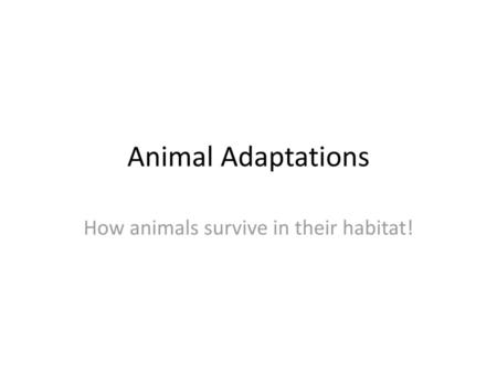 How animals survive in their habitat!