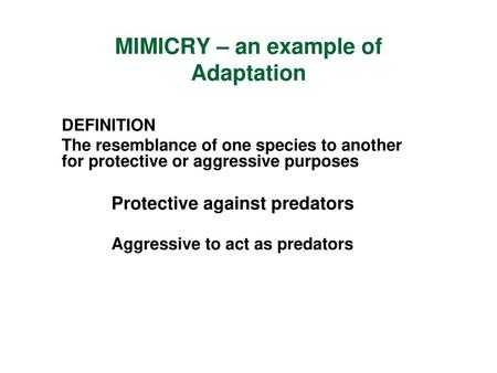 MIMICRY – an example of Adaptation