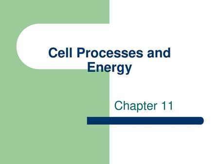 Cell Processes and Energy