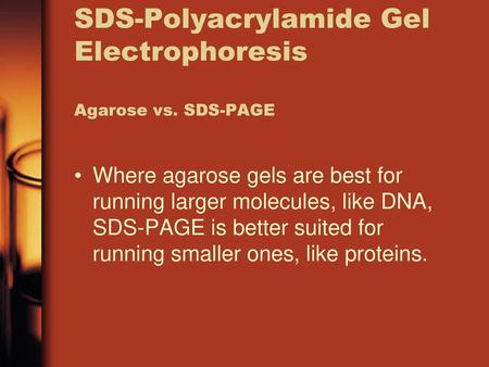 SDS-Polyacrylamide Gel Electrophoresis Agarose vs. SDS-PAGE