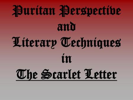 Puritan Perspective and Literary Techniques in The Scarlet Letter