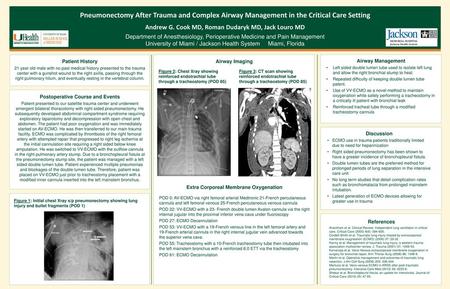 Andrew G. Cook MD, Roman Dudaryk MD, Jack Louro MD