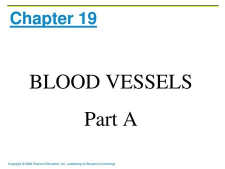 Chapter 19 BLOOD VESSELS Part A.